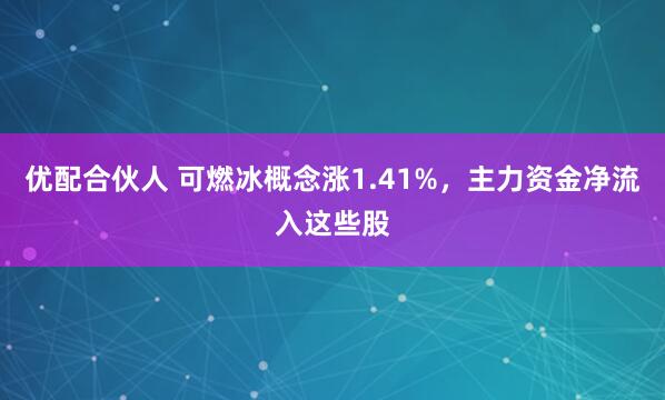 优配合伙人 可燃冰概念涨1.41%，主力资金净流入这些股