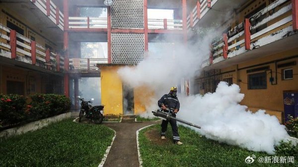 配资台 世卫专家预警基孔肯雅热疫情，119国面临传播风险