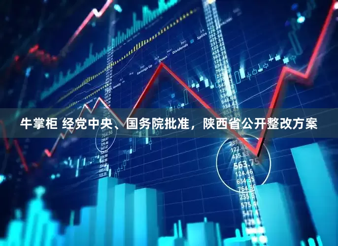 牛掌柜 经党中央、国务院批准，陕西省公开整改方案